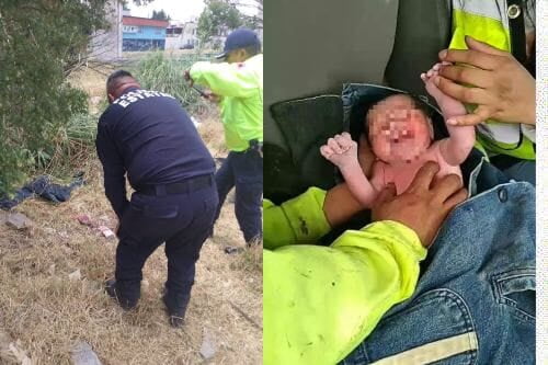 Video: ¡Hallan a bebé recién nacido abandonado en basurero de Metepec